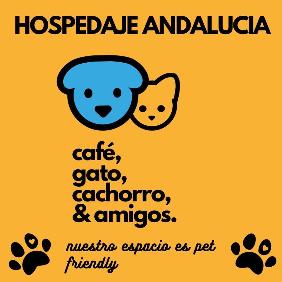 Casa Andalucia Hostel Florianopolis Ngoại thất bức ảnh